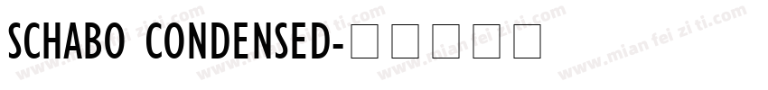 SCHABO CONDENSED字体转换